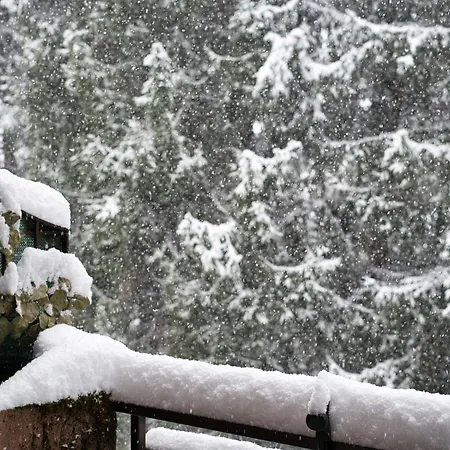 Appartamento Nido Tra I Pini In Cassina Valsassina